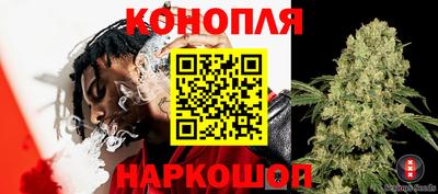 СК Бугуруслан
