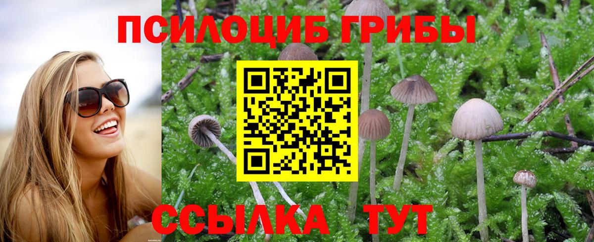 Галлюциногенные грибы Cubensis Красноперекопск
