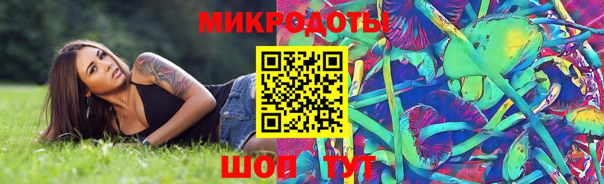 Красноперекопск  Псилоцибиновые грибы Psilocybine cubensis  Вход с VPN 